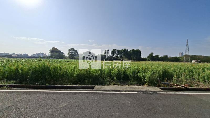 善化火車站大面寬農地房屋室內格局與周邊環境