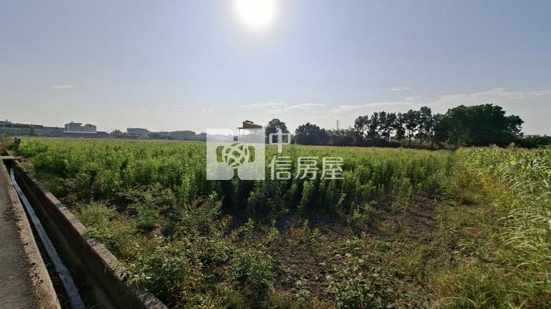 善化火車站大面寬農地房屋室內格局與周邊環境