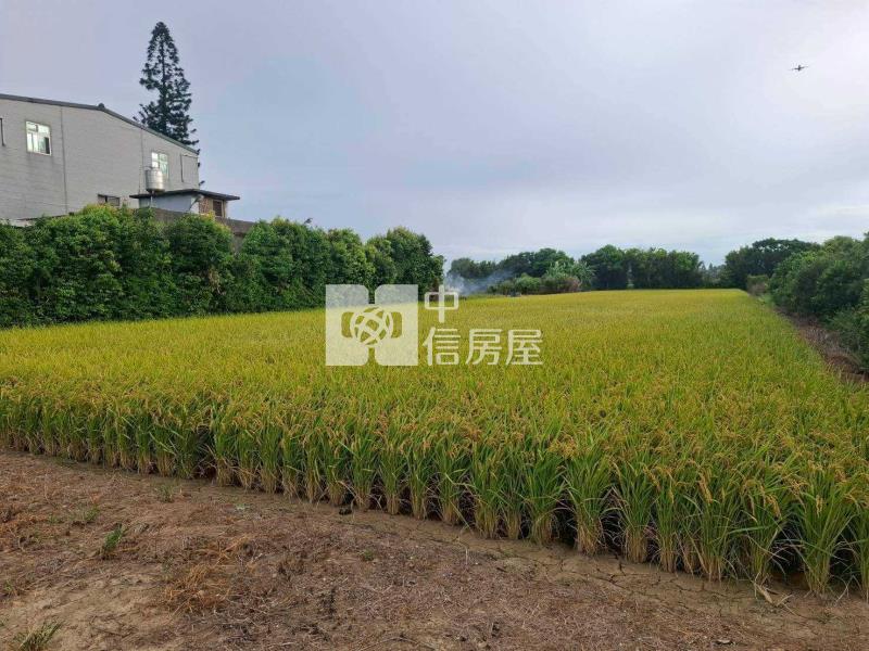 近中壢崙坪農地/農舍房屋室內格局與周邊環境