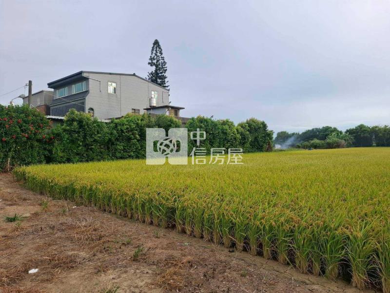 近中壢崙坪農地/農舍房屋室內格局與周邊環境