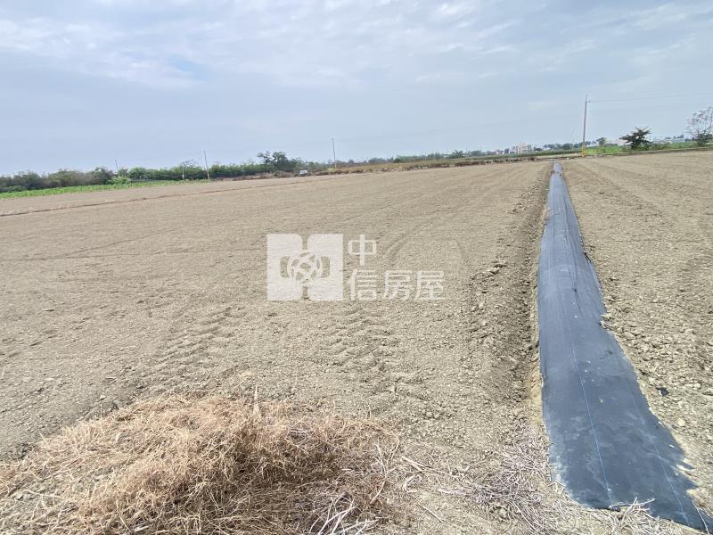 鹿草雙面路方正農地3房屋室內格局與周邊環境