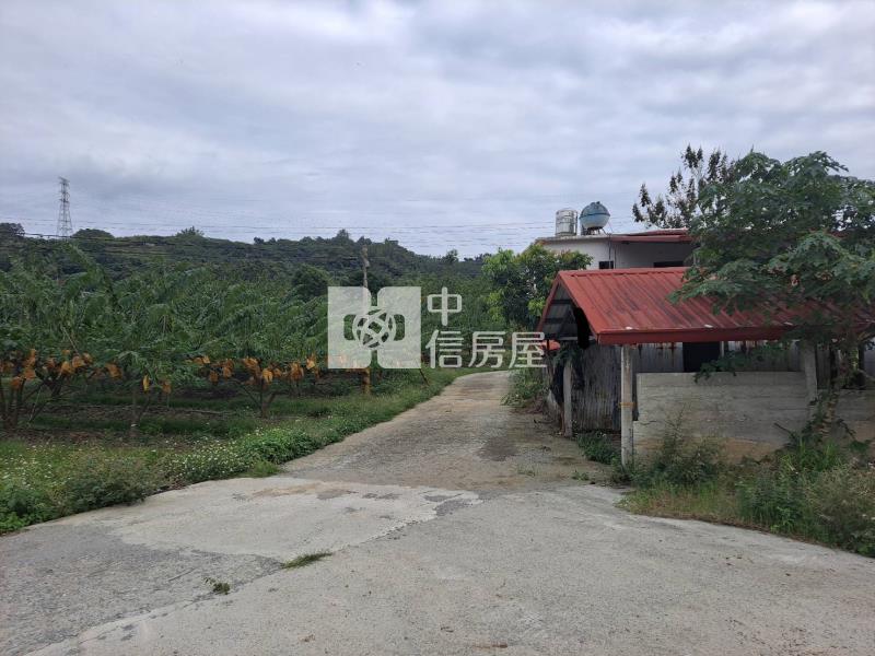 初鹿郵局後1028坪臨路平坦農地房屋室內格局與周邊環境