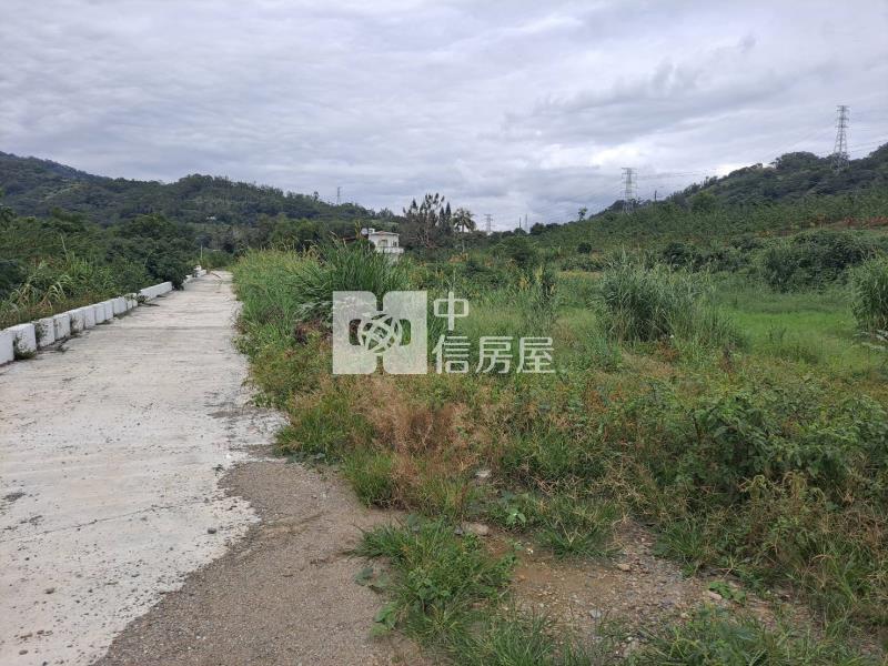 初鹿郵局後1028坪臨路平坦農地房屋室內格局與周邊環境