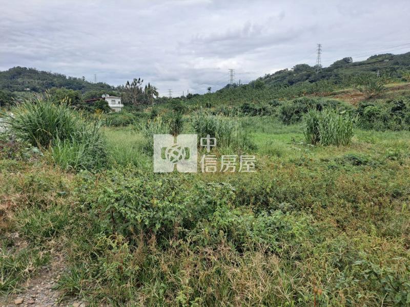 初鹿郵局後1028坪臨路平坦農地房屋室內格局與周邊環境