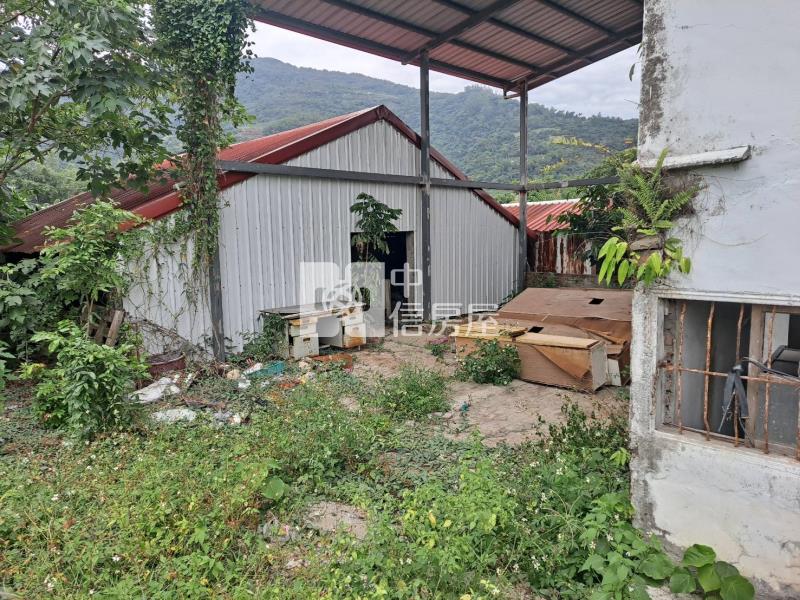 初鹿郵局後1028坪臨路平坦農地房屋室內格局與周邊環境