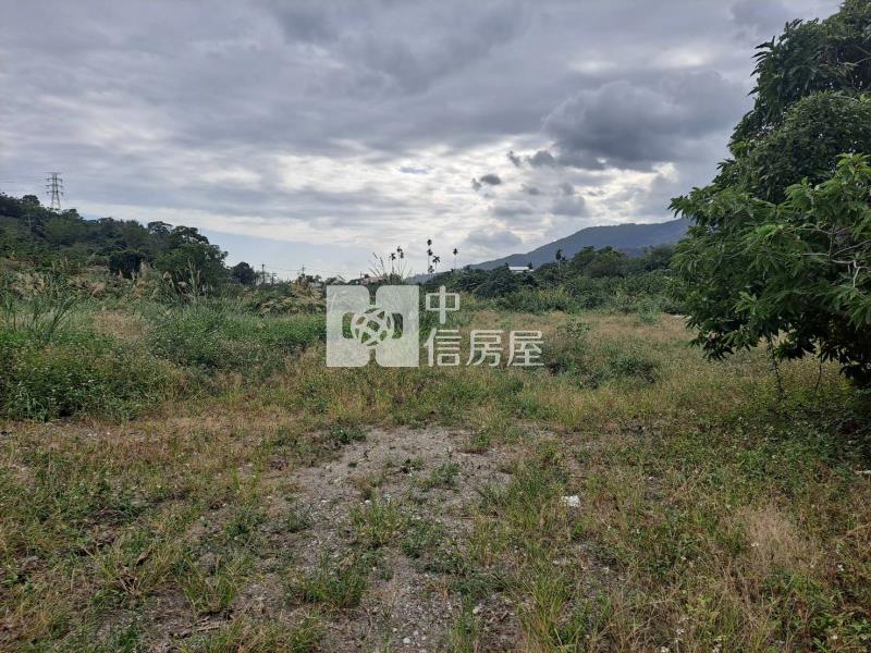 初鹿郵局後1028坪臨路平坦農地房屋室內格局與周邊環境