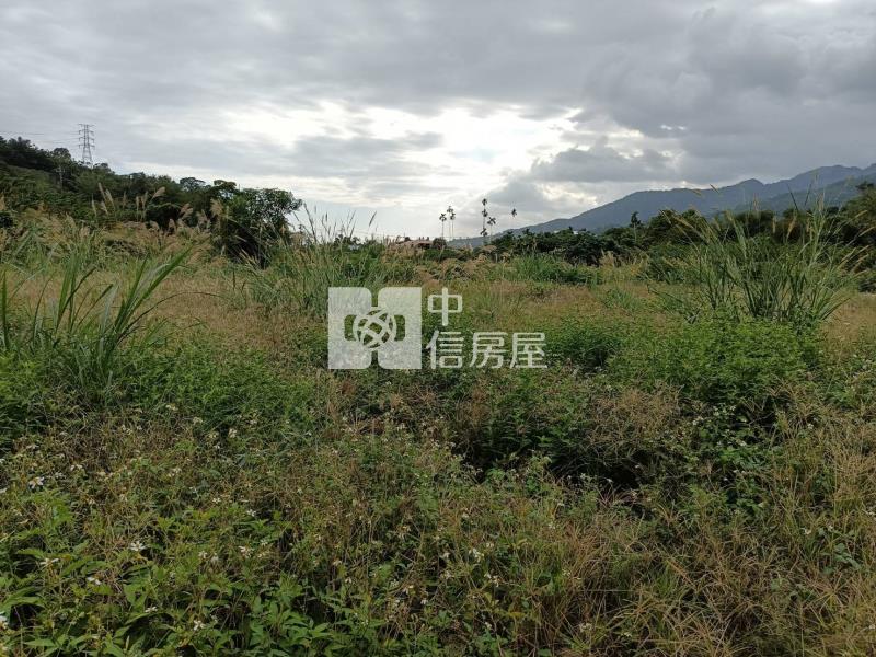 初鹿郵局後1028坪臨路平坦農地房屋室內格局與周邊環境