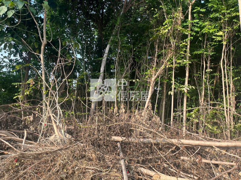 六堆客家文化園區一般農地*專約*房屋室內格局與周邊環境