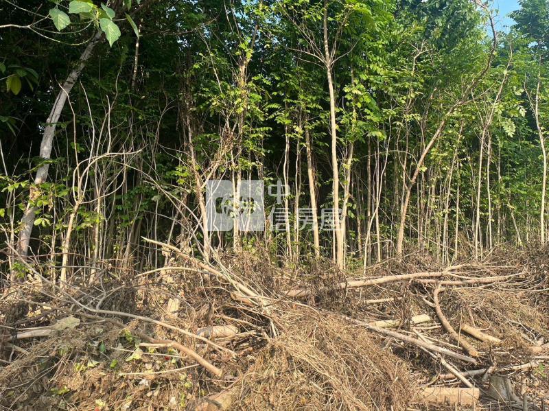 六堆客家文化園區一般農地*專約*房屋室內格局與周邊環境