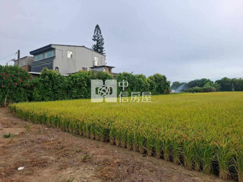 觀音大地坪農舍房屋室內格局與周邊環境