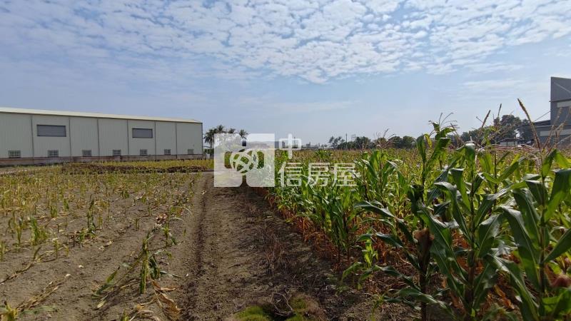 國八安吉路美農地房屋室內格局與周邊環境