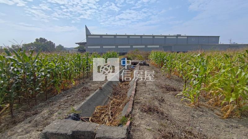 國八安吉路美農地房屋室內格局與周邊環境