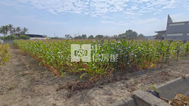 國八安吉路美農地房屋室內格局與周邊環境