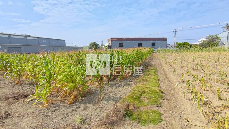 國八安吉路美農地房屋室內格局與周邊環境