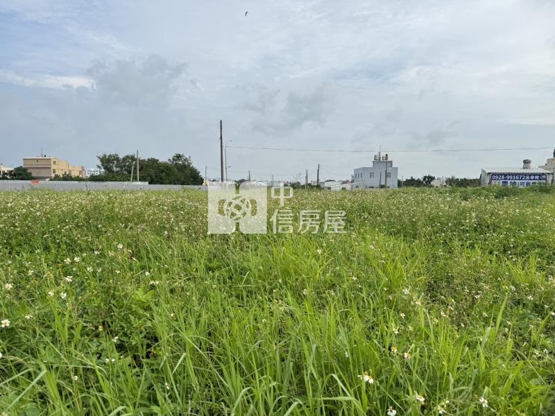 台1線旁好地點！｜848坪角地｜雙面臨18米路｜可農舍｜有資材室房屋室內格局與周邊環境