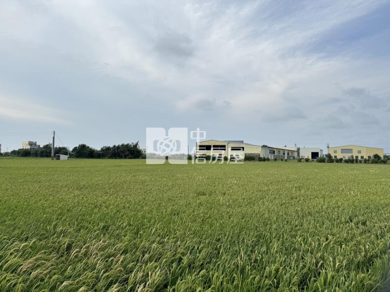 台1線旁好地點！｜848坪角地｜雙面臨18米路｜可農舍｜有資材室房屋室內格局與周邊環境