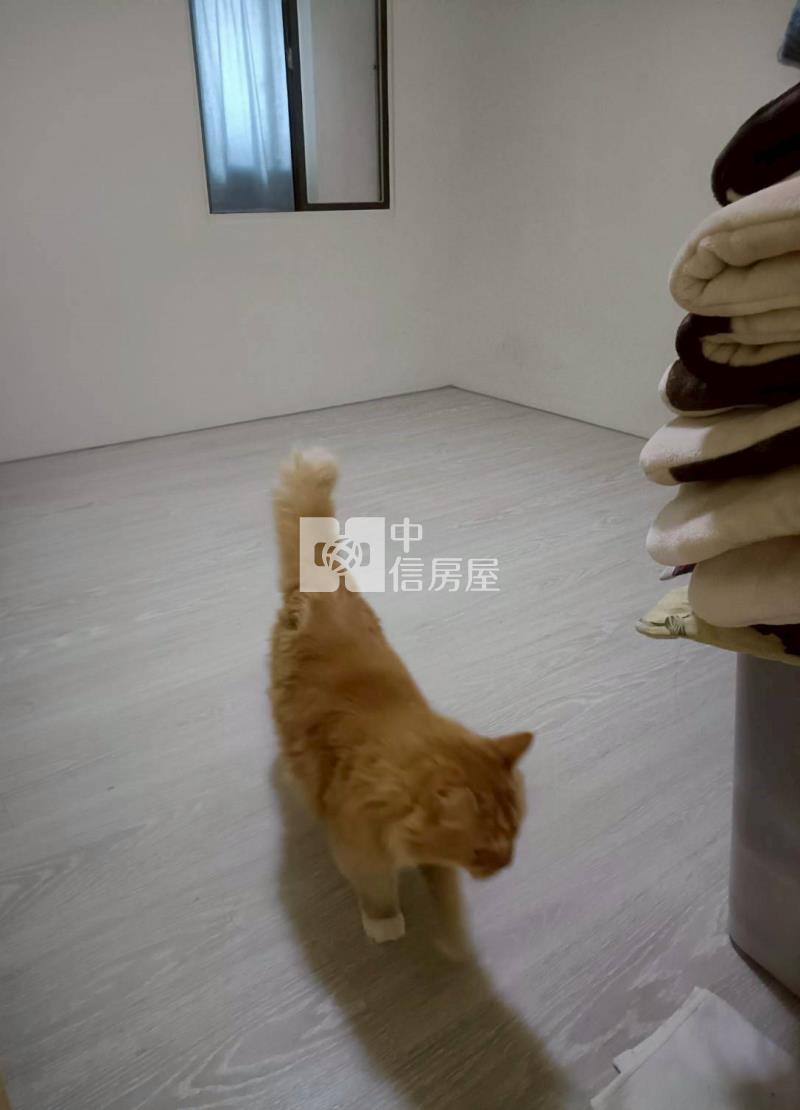 核心地段公益路&向上路高機能商圈大三房房屋室內格局與周邊環境