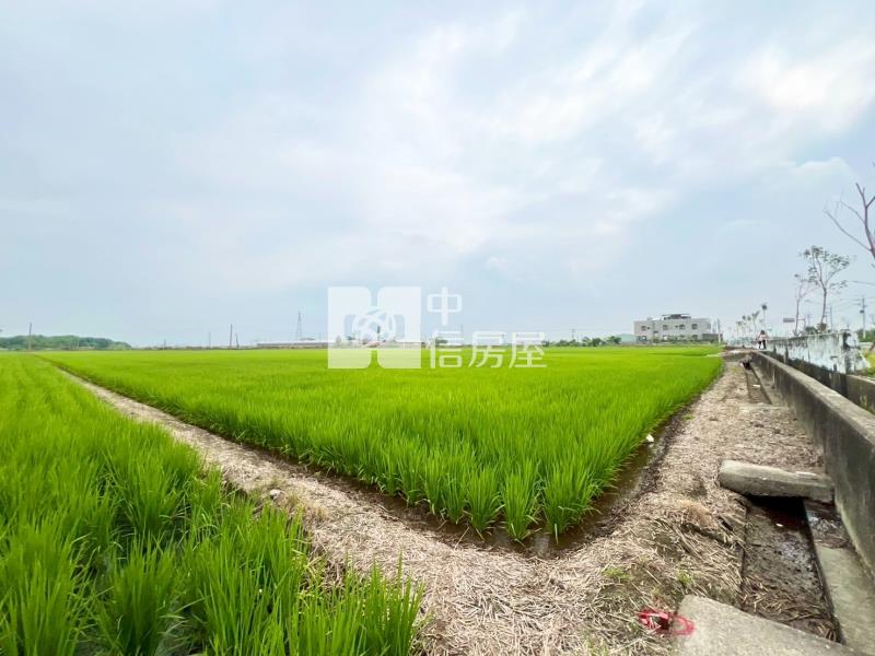 新港新民路正路邊農地房屋室內格局與周邊環境