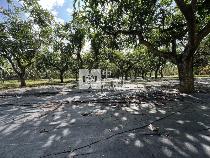 屏東土地 高樹青山綠樹休閒屋房屋室內格局與周邊環境