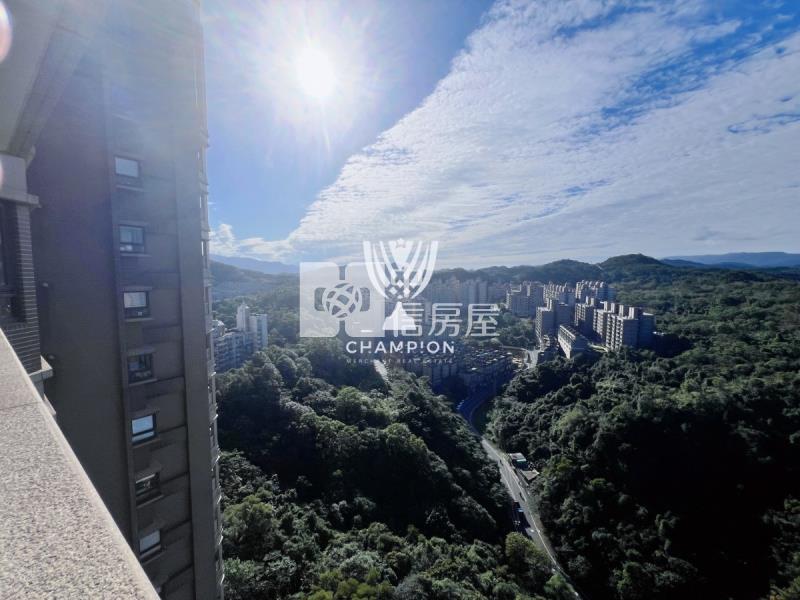 城上城凌雲大戶+連號雙平車房屋室內格局與周邊環境