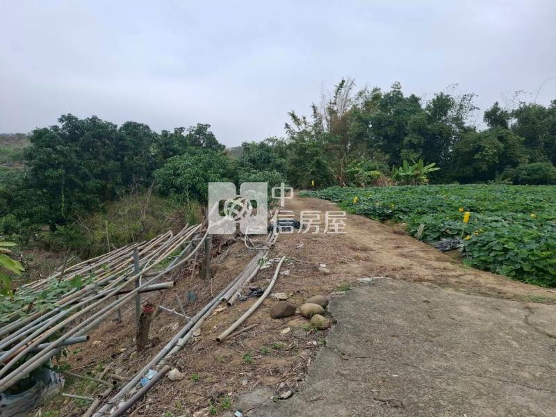 玉井芒果園優質農地房屋室內格局與周邊環境