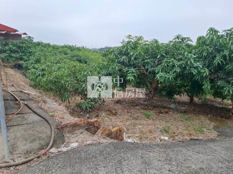 玉井芒果園優質農地房屋室內格局與周邊環境