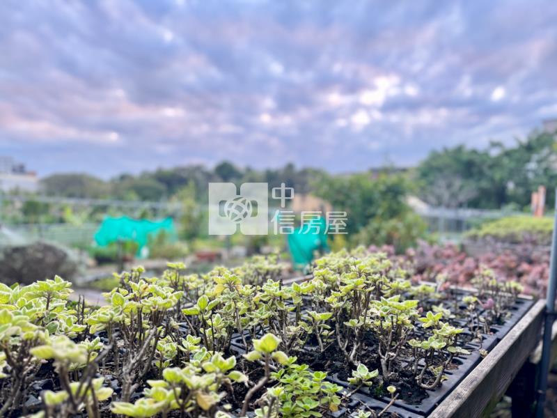 綠建築【深耕12】百坪電梯豪宅別墅房屋室內格局與周邊環境