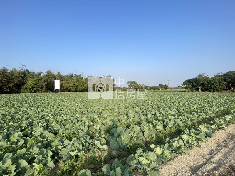 仁德中洲2.7分方正農地房屋室內格局與周邊環境