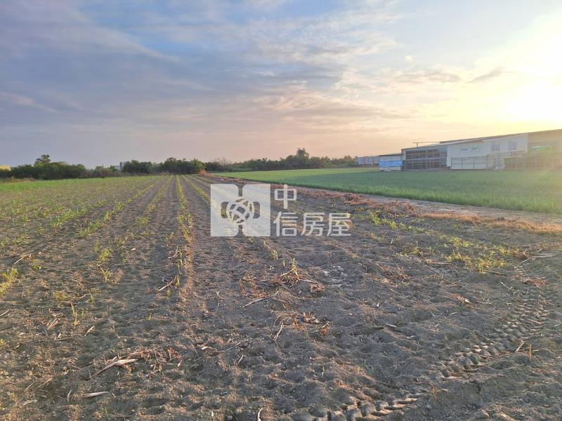 近台江大道五段地形方正都內農房屋室內格局與周邊環境