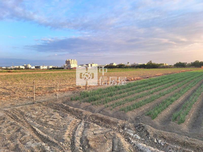 近台江大道五段地形方正都內農房屋室內格局與周邊環境