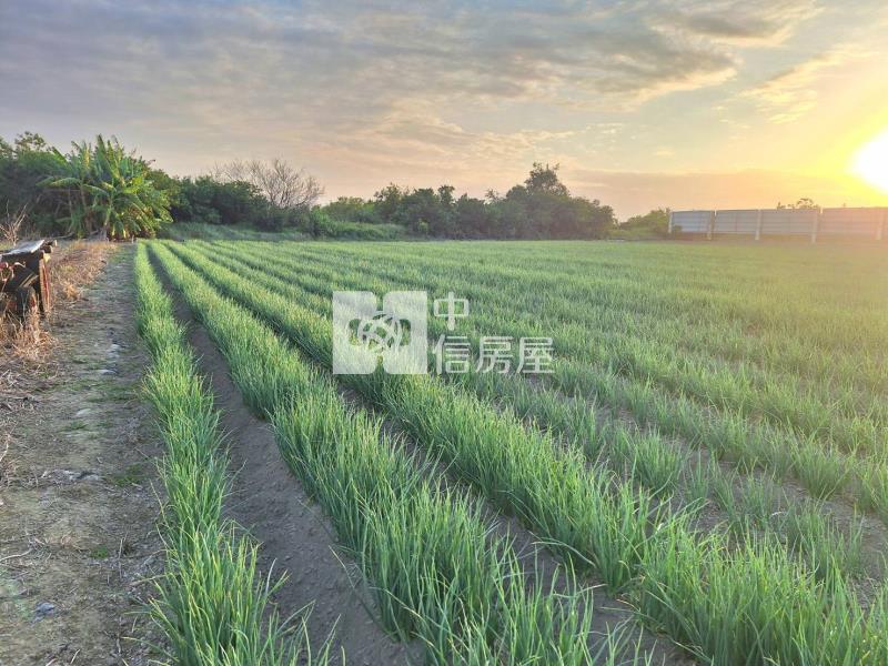 近台江大道五段地形方正都內農房屋室內格局與周邊環境