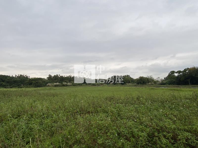 蘆竹開南大學農地(袋地A)房屋室內格局與周邊環境