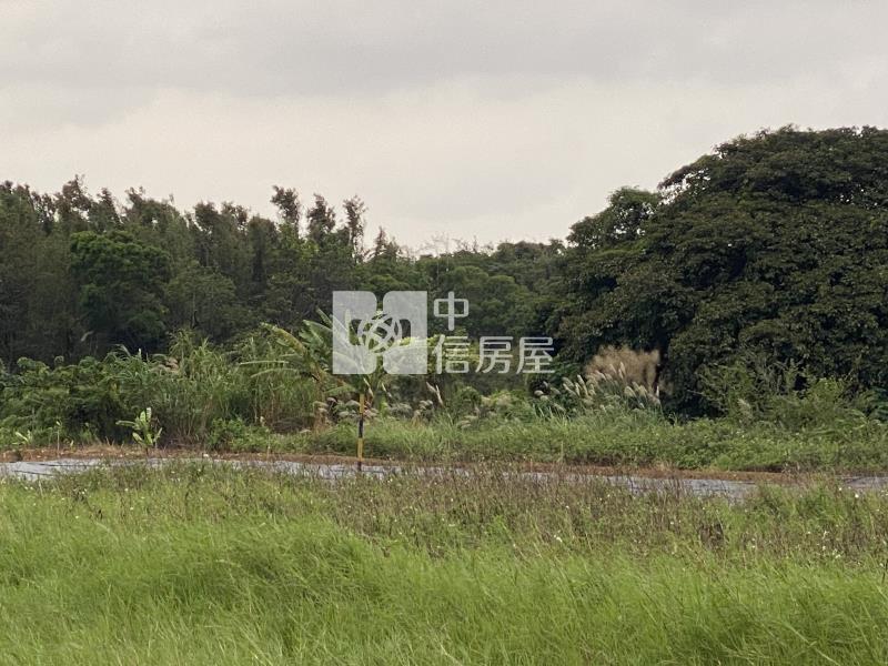 蘆竹開南大學農地(袋地A)房屋室內格局與周邊環境