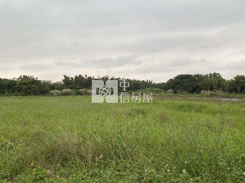 蘆竹開南大學農地(袋地A)房屋室內格局與周邊環境