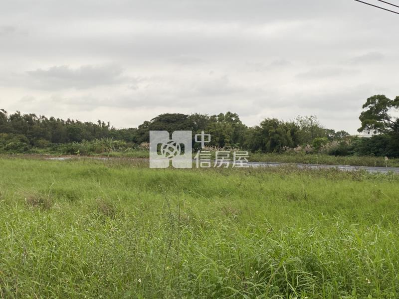 蘆竹開南大學農地(袋地B)房屋室內格局與周邊環境