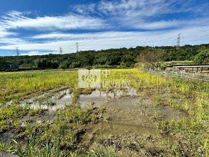 大溪都市農地房屋室內格局與周邊環境