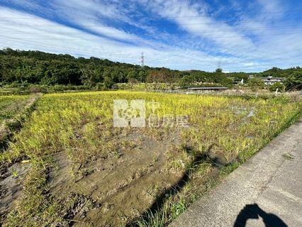大溪都市農地房屋室內格局與周邊環境