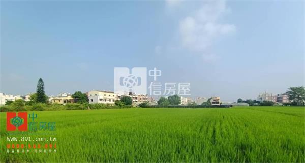 嘉北區段徵收第三期農地房屋室內格局與周邊環境