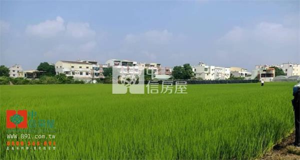 嘉北區段徵收第三期農地房屋室內格局與周邊環境