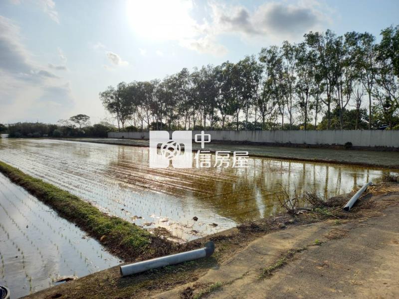 【新世紀】新屋社子國小休閒農地房屋室內格局與周邊環境