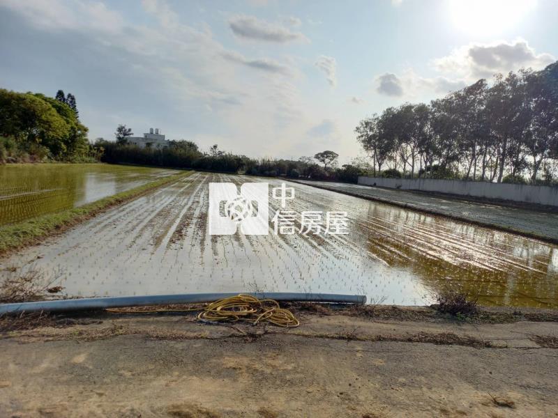 【新世紀】新屋社子國小休閒農地房屋室內格局與周邊環境