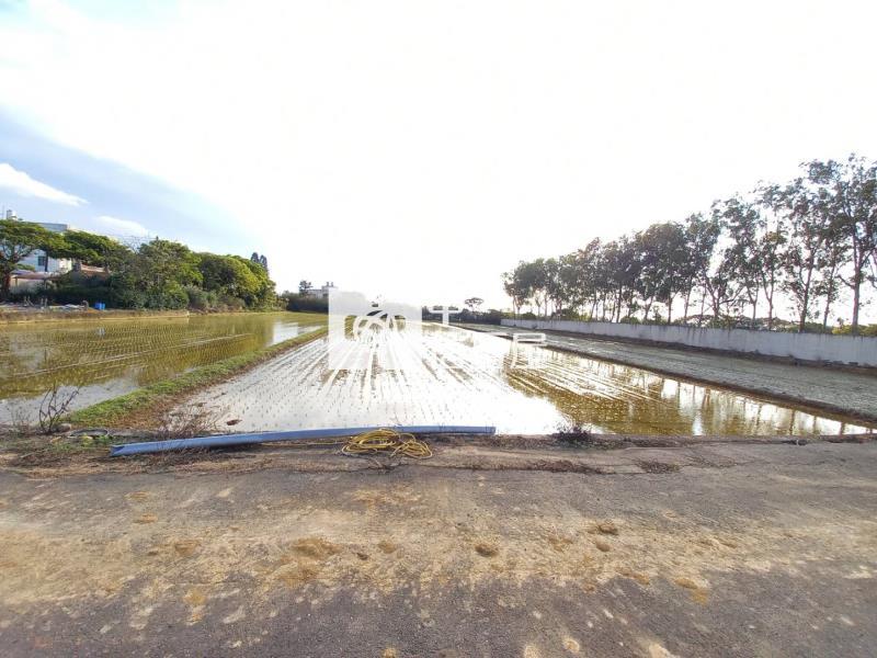 【新世紀】新屋社子國小休閒農地房屋室內格局與周邊環境