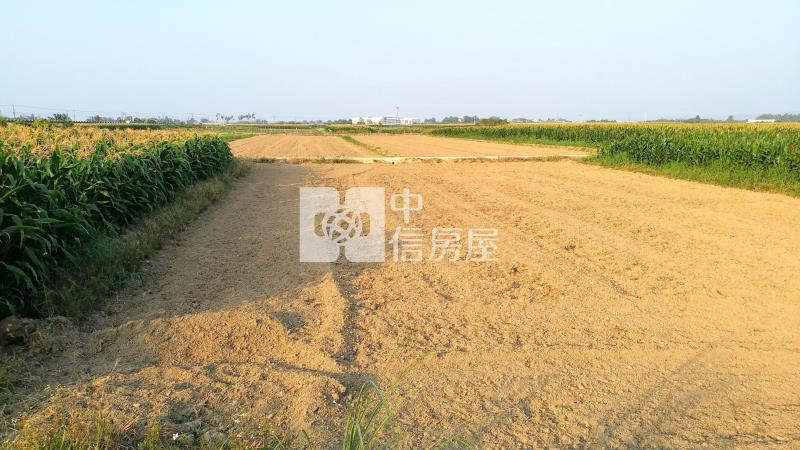 近東山休息站臨路美農地1房屋室內格局與周邊環境