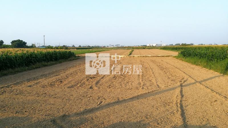 近東山休息站臨路美農地1房屋室內格局與周邊環境