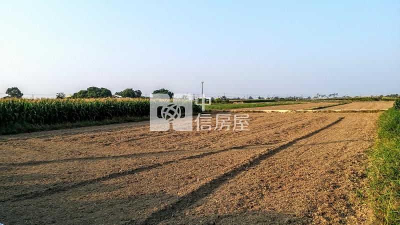 近東山休息站臨路美農地1房屋室內格局與周邊環境