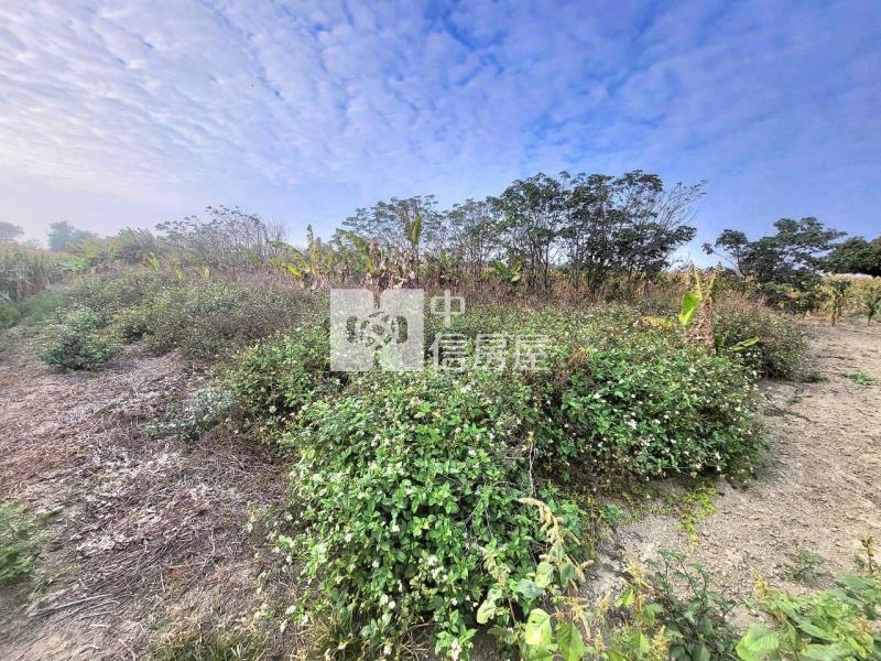 朴子超俗農地房屋室內格局與周邊環境