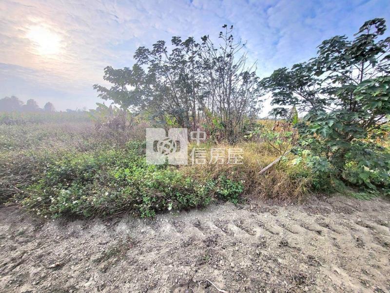 朴子超俗農地房屋室內格局與周邊環境