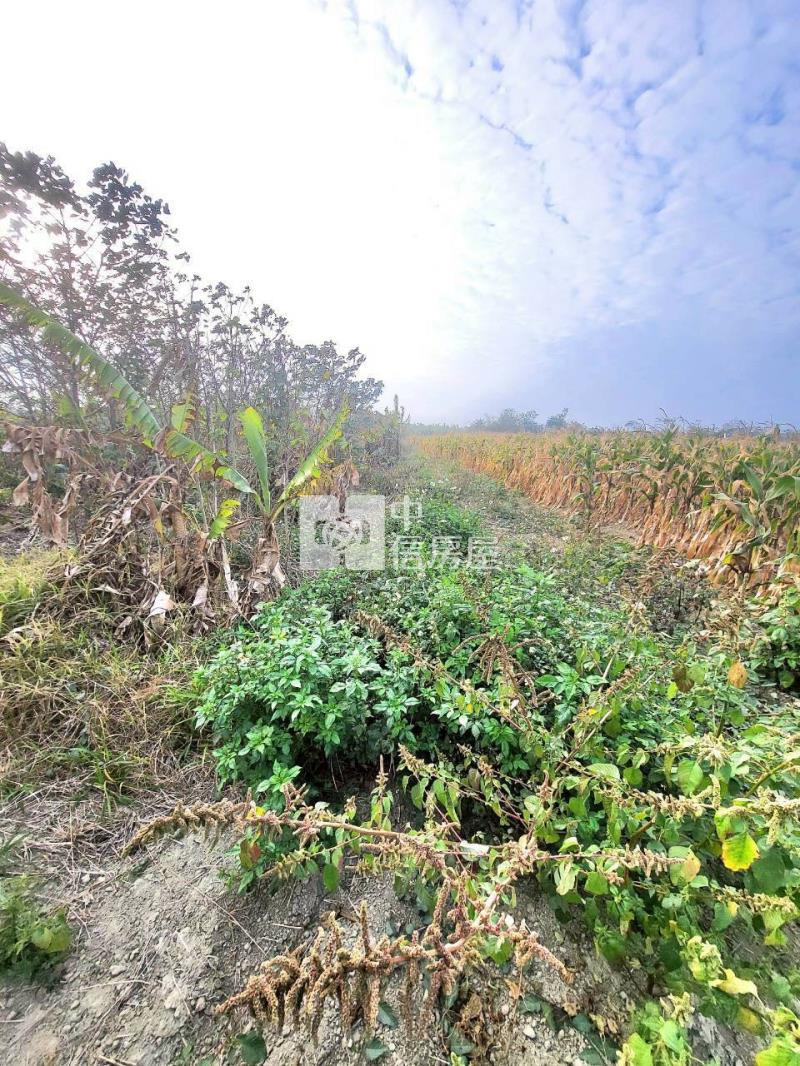 朴子超俗農地房屋室內格局與周邊環境