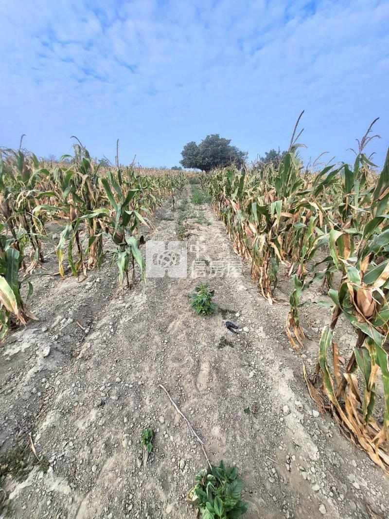 朴子超俗農地房屋室內格局與周邊環境