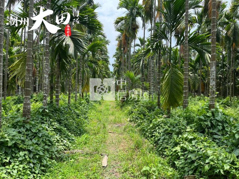 科大路一段農地房屋室內格局與周邊環境